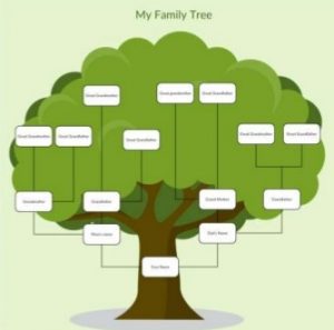 starting a family tree delaware county genealogical society a famliy tree